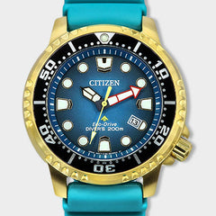 Diver's Watches