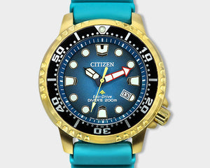 Diver's Watches
