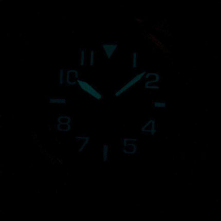 Citizen Eco-Drive Military 200M AW1410-24E Men's Watch