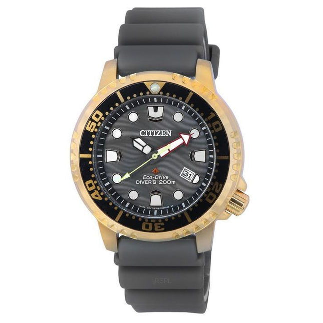 Citizen Promaster Grey Dial Eco-Drive Diver's BN0163-00H 200M Men's Watch