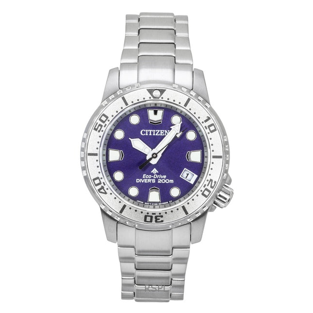Citizen Promaster Dive Stainless Steel Purple Dial Eco-Drive Diver's EO2027-50X 200M Women's Watch