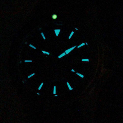 Citizen Eco-Drive Promaster Divers EP6044-01E Womens Watch