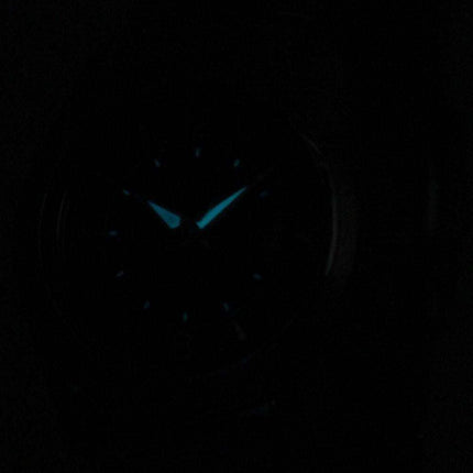 Citizen Eco-Drive Analog Black Dial FE1010-57E Women's Watch