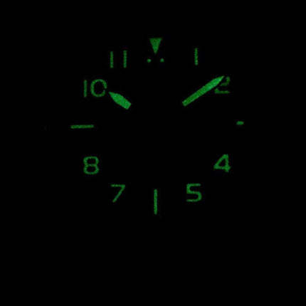 Citizen Automatic NJ0100-20L Men's Watch