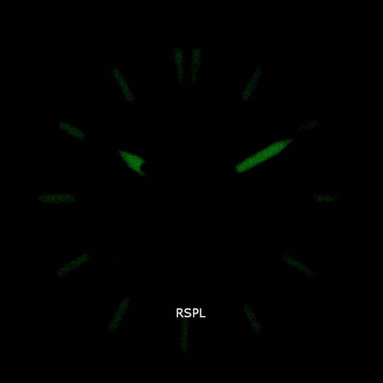 Orient Defender RA-AK0405Y10B Automatic Men's Watch