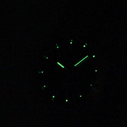 Seiko Titanium SGG601P1 SGG601P SGG601 Mens Watch