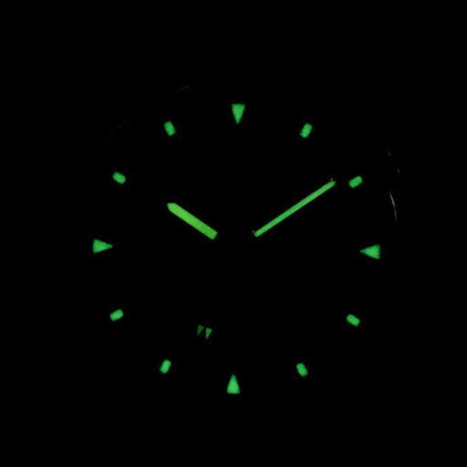 Seiko Titanium Quartz SLC043 SLC043P1 SLC043P Men's Watch