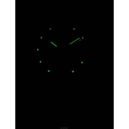 Refurbished Seiko 5 Automatic 21 Jewels SNK393 SNK393K1 SNK393K Men's Watch