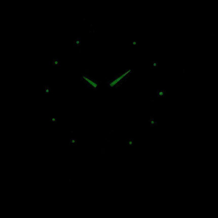 Seiko 5 Automatic Japan Made SSNKP20 SNKP20J1 SNKP20J Men's Watch