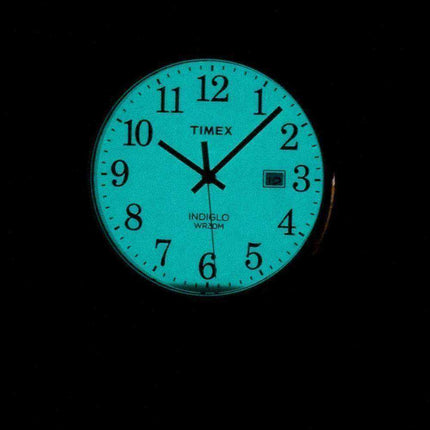Timex Easy Reader Indiglo Quartz TW2P75600 Men's Watch